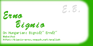 erno bignio business card